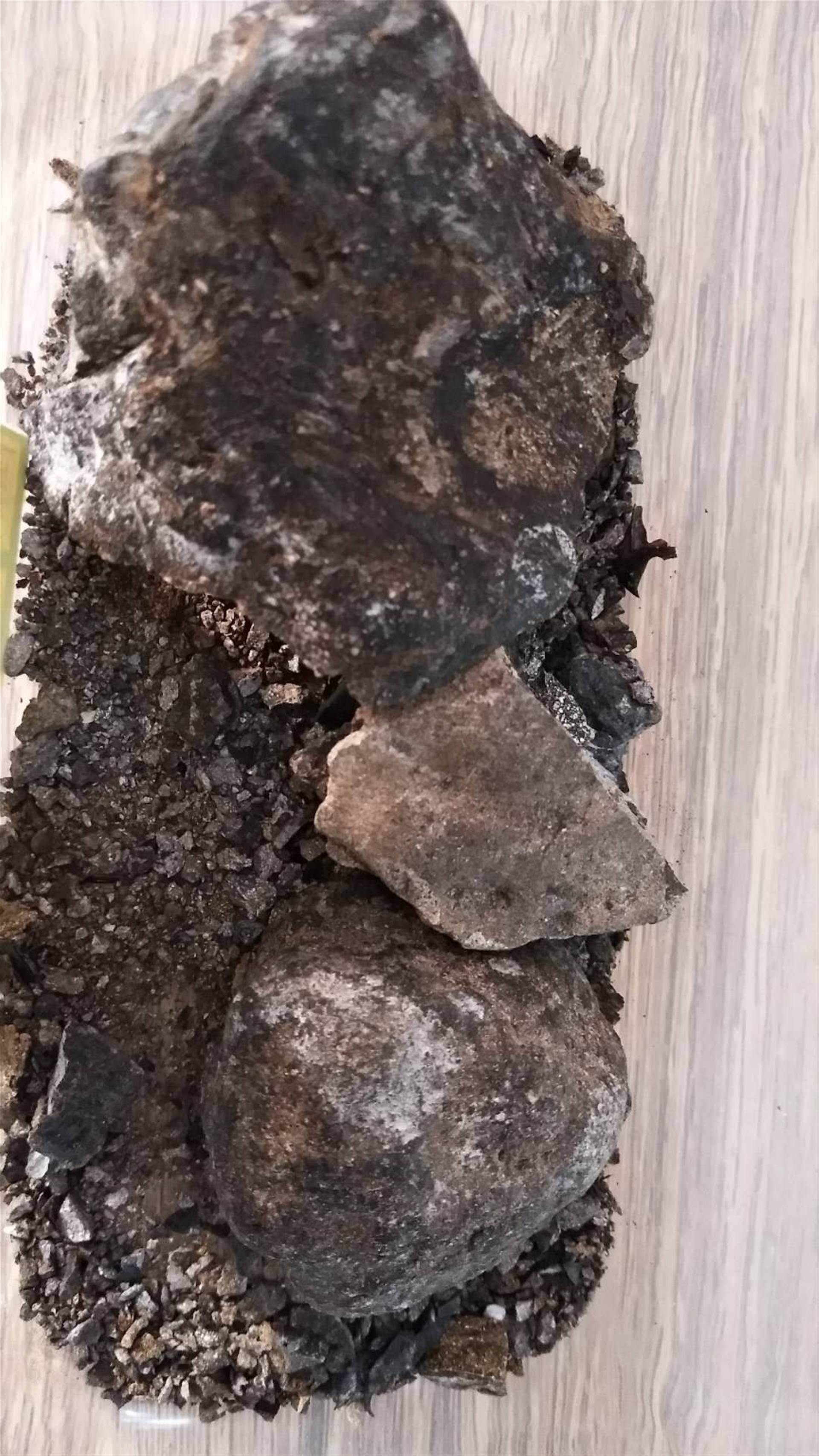 龙涎香的功效与作用龙涎香的功用龙涎香的功效龙涎香今日价格