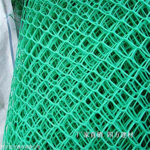 枣庄市三维土工网垫 三维植被网垫质量放心