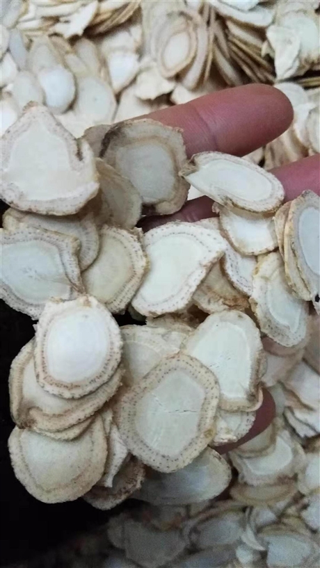 西洋參片泡水喝的功效   西洋參今日價(jià)格