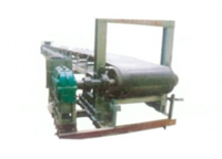 山东泽荣DT II型通用固定带式输送机系列