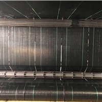 图木舒克盖草布厂家 花卉防草布 批发园林除草布价格