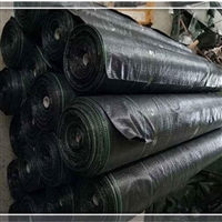 济源果园农业种植抑草防草布铺盖法