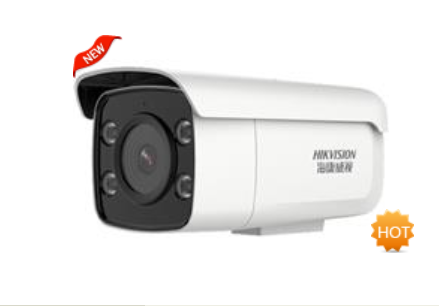 DS-2CD3T46WD-L 海康威视400万星光级双光网络摄像机