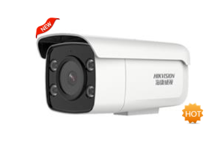 DS-2CD3T26DWD-L 海康威视200万星光级双光网络摄像机