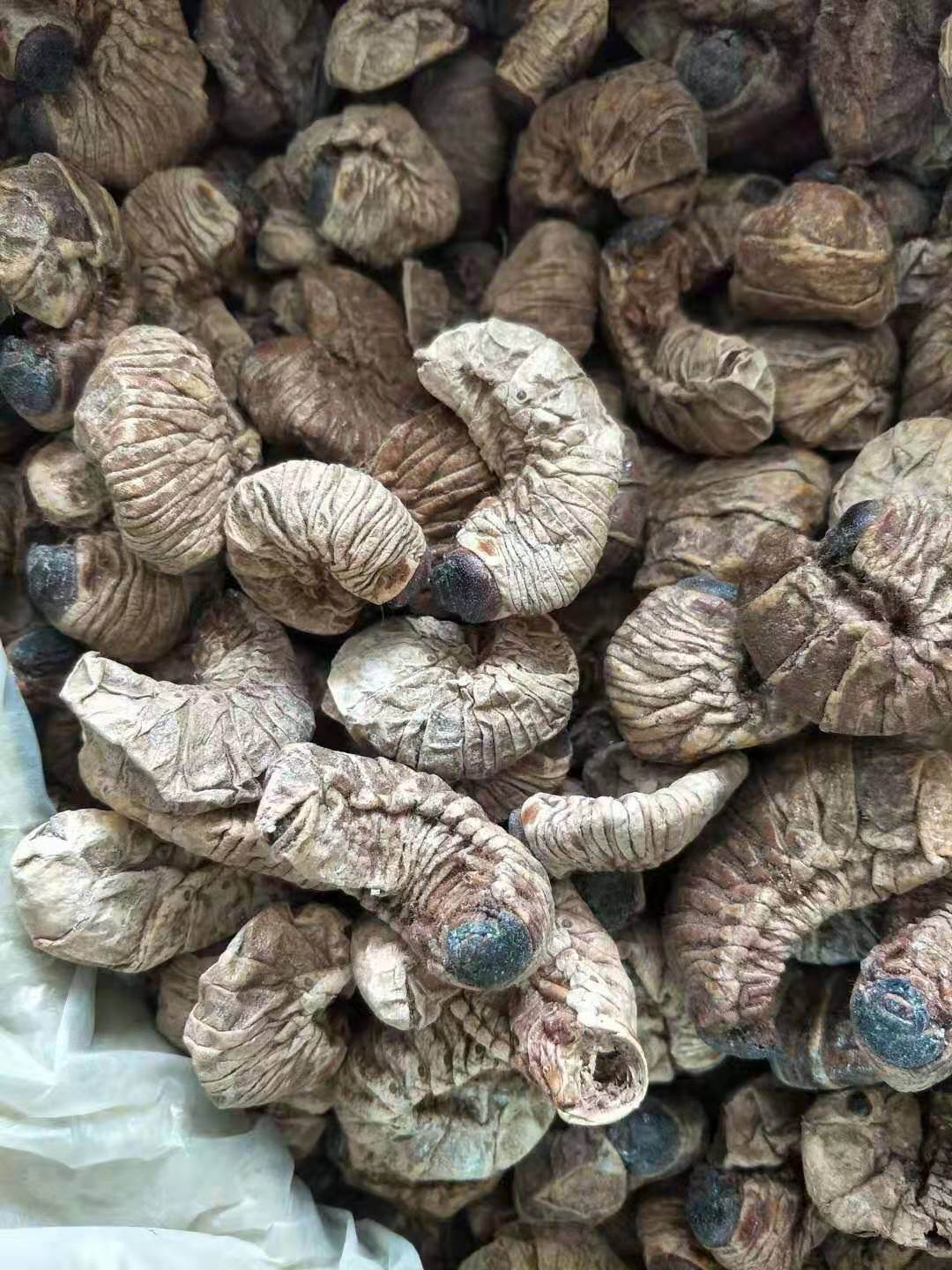 青黛中药材中医世家中药材批发青黛