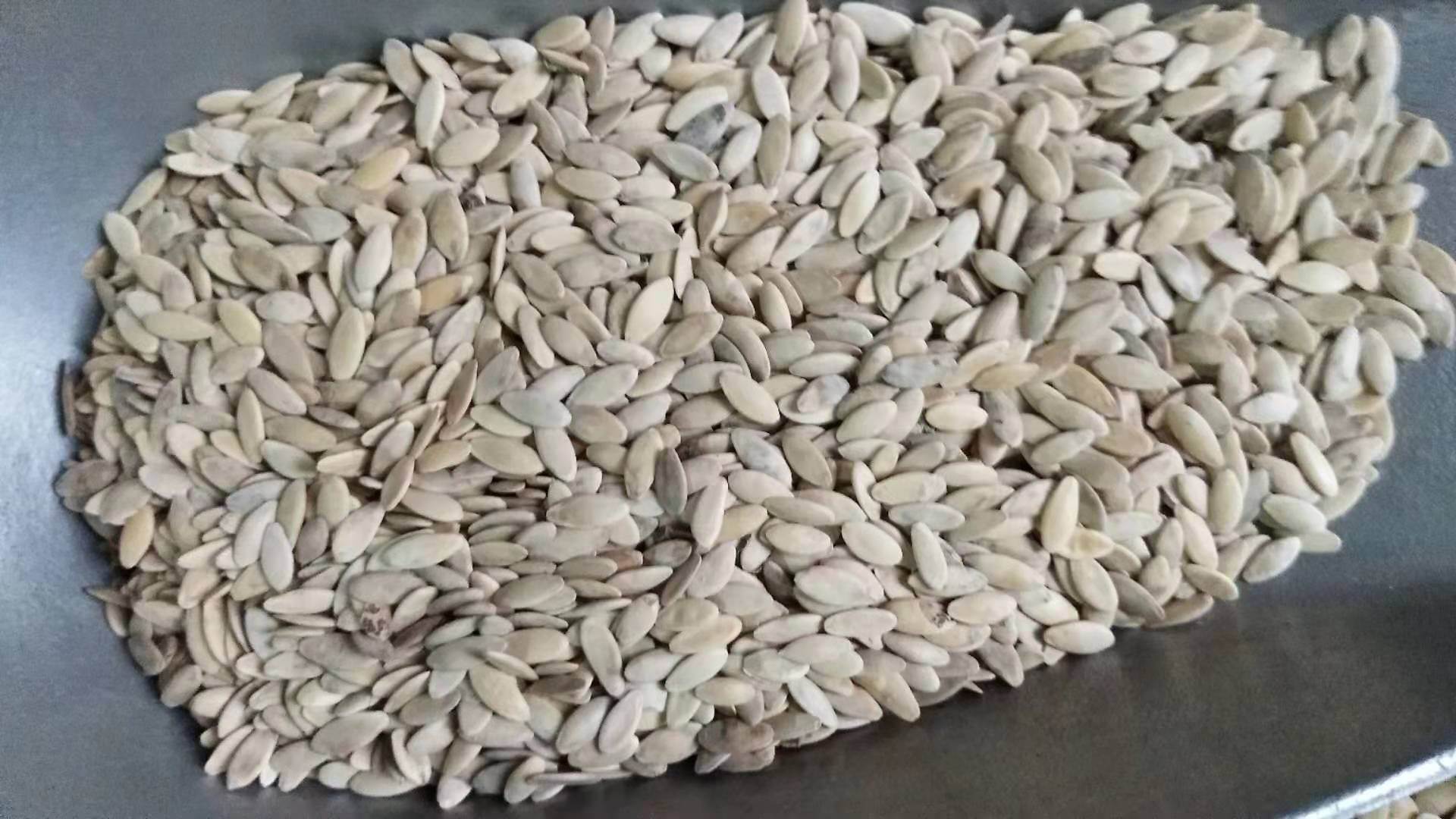 黄瓜籽的药用价值黄瓜籽新货