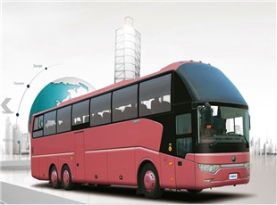 鄭州托運寵物多少錢-鄭州到蒲岐汽車