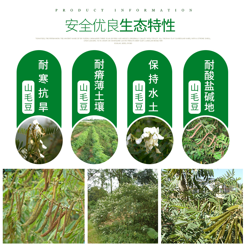 第5年企业类型:私营企业主营业务:狗牙根种子,高羊茅种子,四季青草籽