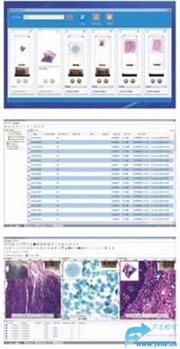 数字玻片扫描仪,数字玻片扫描台EasyScan用于组织切片扫描成像