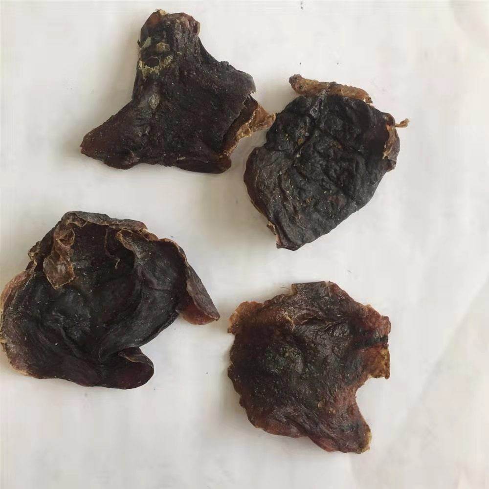 猫胎盘的价格   猫胎盘的功效