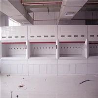 长海CH4-2-1玻璃钢通风柜 性价比高 实验室排风系统生产