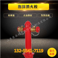 双65接口泡沫消火栓价格 地上消火栓 消防器材专营厂家