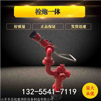 栓炮一体消火栓 地上消火栓 户外防冻消火栓 消火栓生产厂家