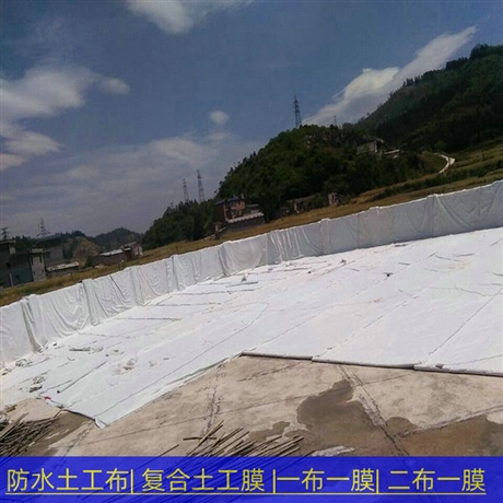 0.5mmPE厚800克复合土工膜_800g两布一膜结构150g/0.5mm/150g