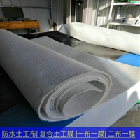 600克两布一膜厂家，600克SN2短纤针刺非织造复合土工膜