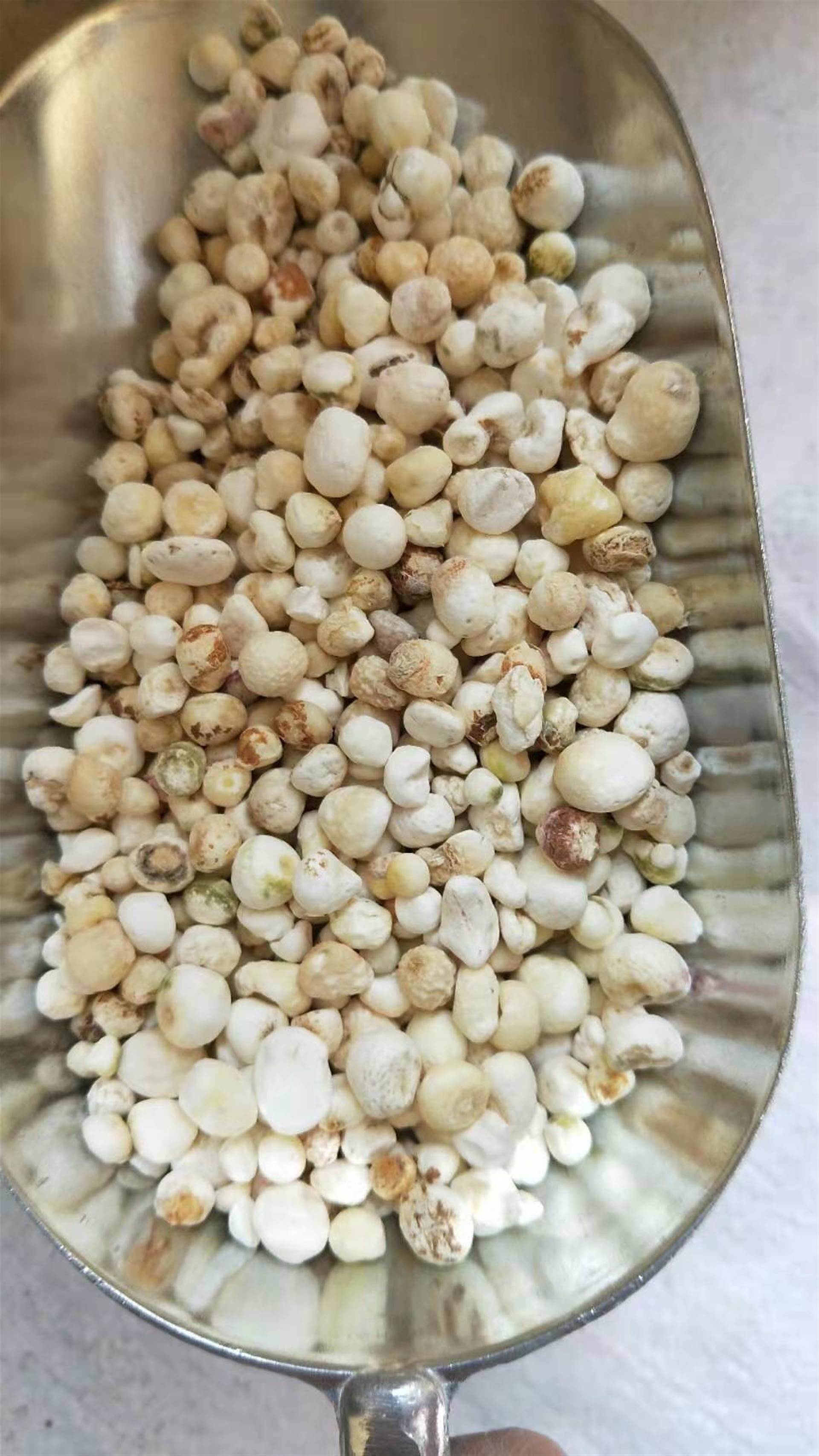 旱半夏产地直销