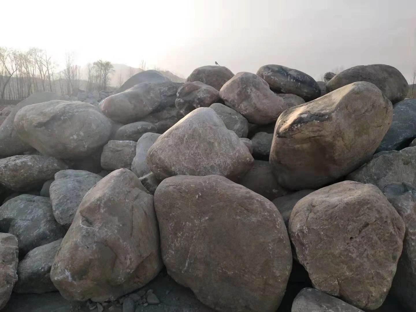 河北大块河卵石厂家 灵寿县永顺鹅卵石加工厂是生产大块河卵石的大型