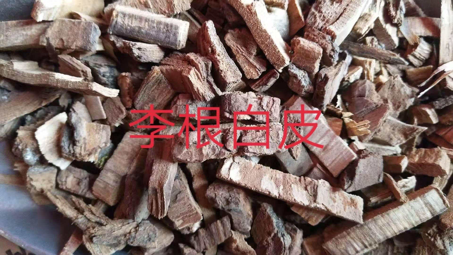 李根白皮用量图片