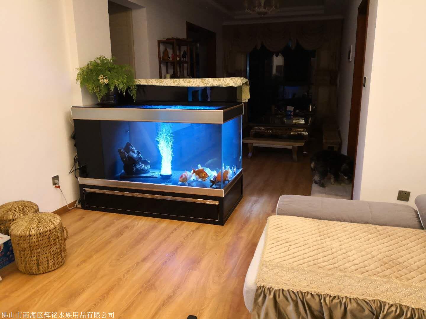 辉铭锦鲤地缸锦鲤鱼缸