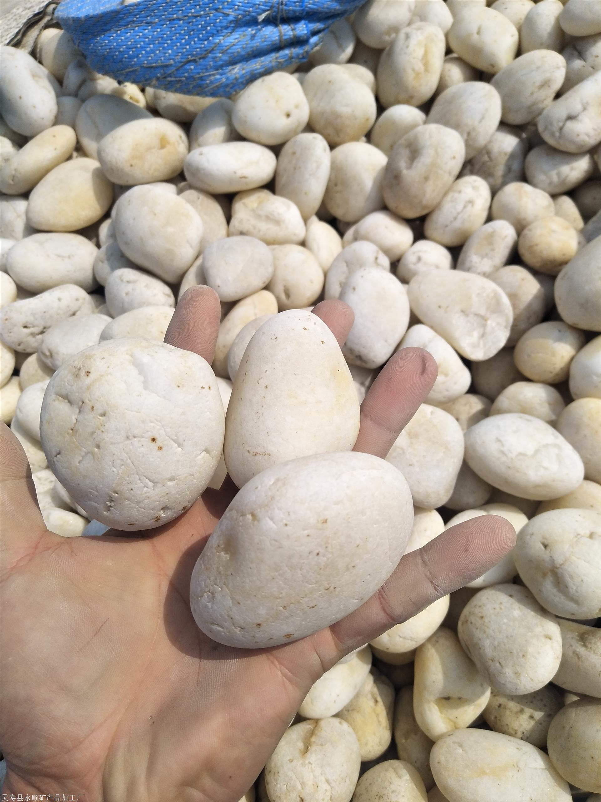 日照永顺2到3公分白色抛光鹅卵石一吨
