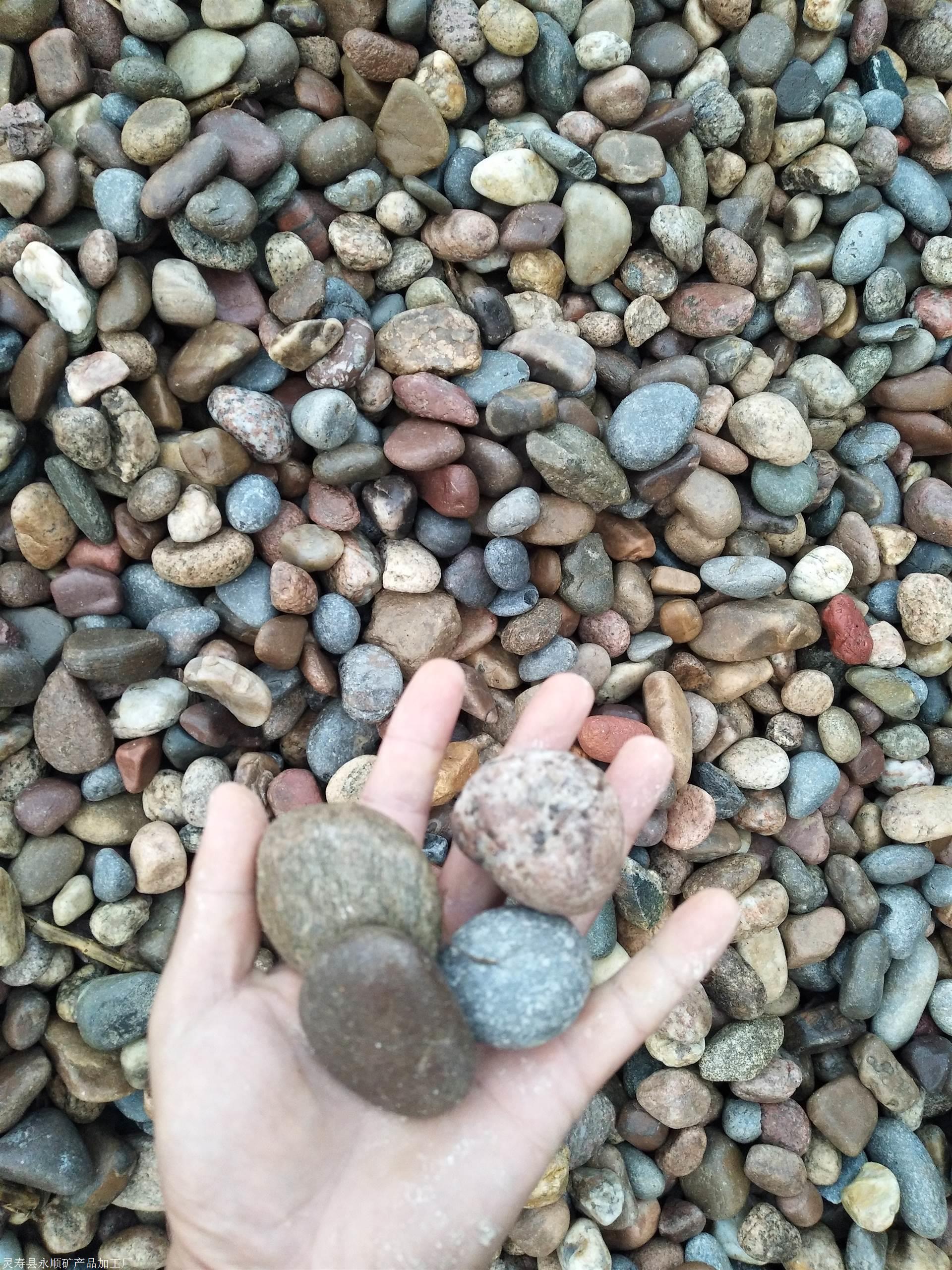 新乡大连鹅卵石滤料厂家 永顺8到16毫米滤料鹅卵石厂家