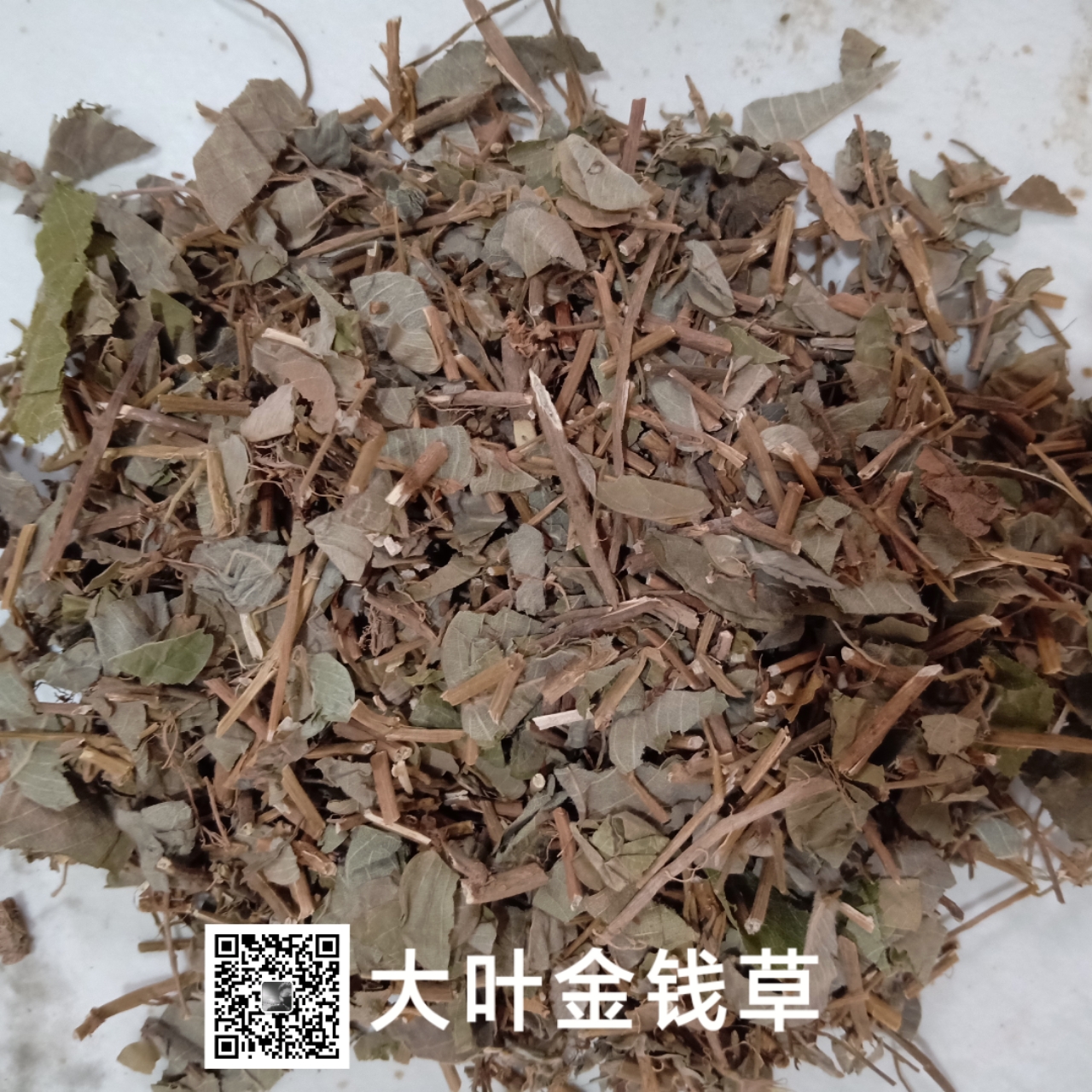 供應大葉金錢草