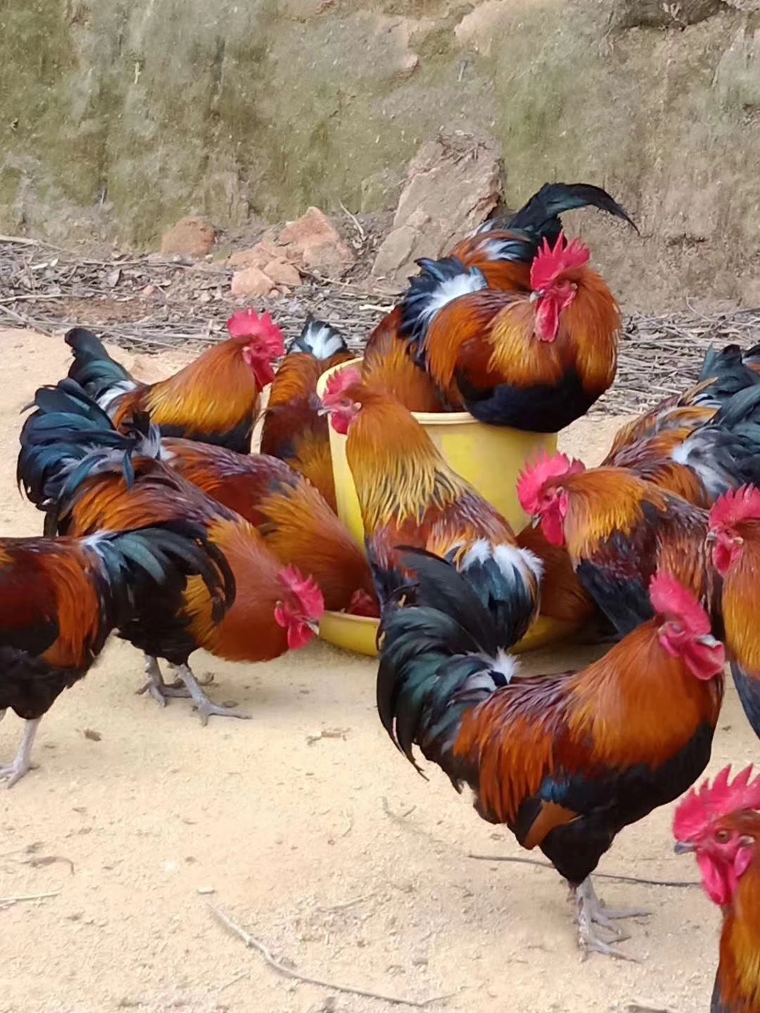 洛阳新安县安利实体店哪有 新安县安利产品哪有卖