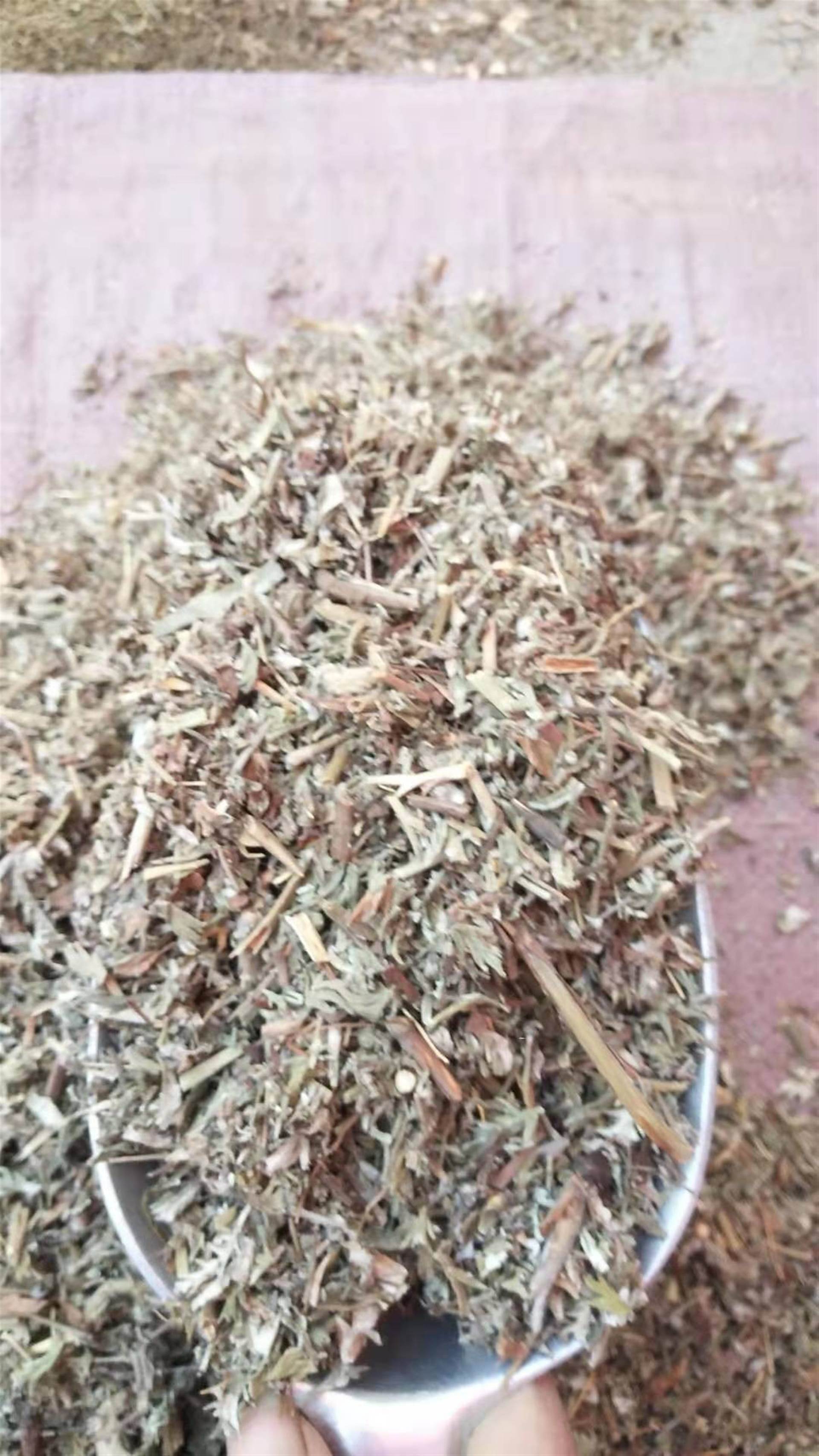 翻白草的功效与作用