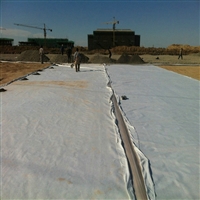 景观水系600克两布一膜型号,水库治理700克两布一膜结构造型