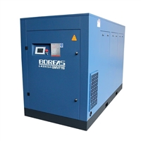 泉州空压机BMVF110 排气量22立方 SKKE152大转子
