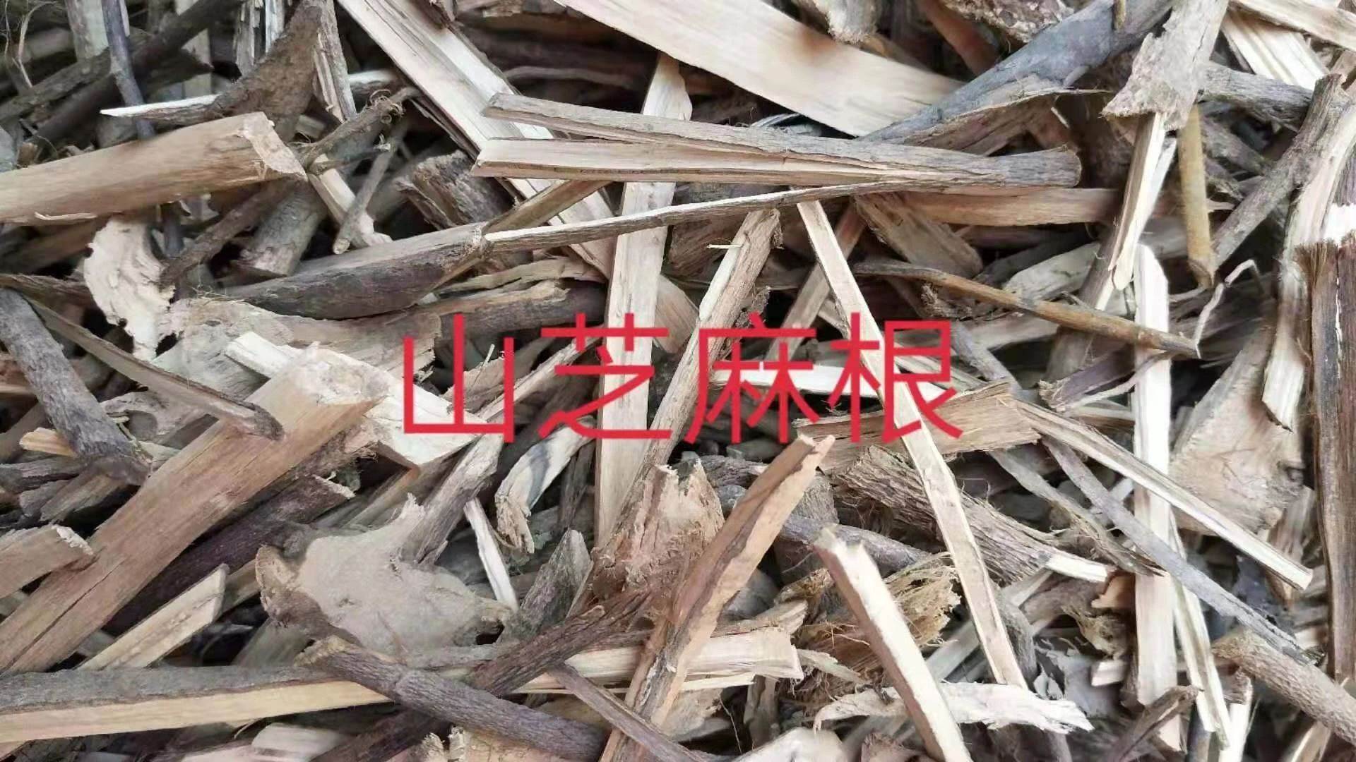 今年山芝麻多少钱一斤 今年山芝麻多少钱一斤啊