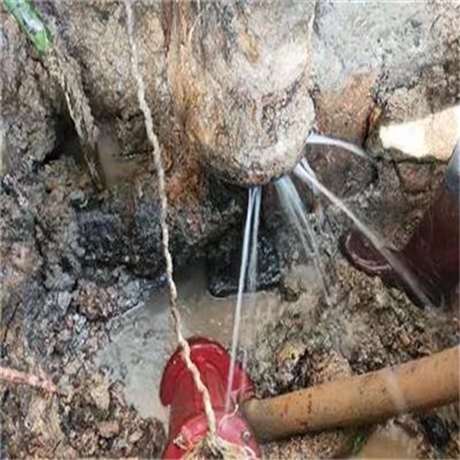 黄埔给水管探漏 埋地水管暗漏检查 水管渗漏维修