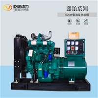 50KW柴油发电机组 小型移动静音发电机组 应急发电机全国联保