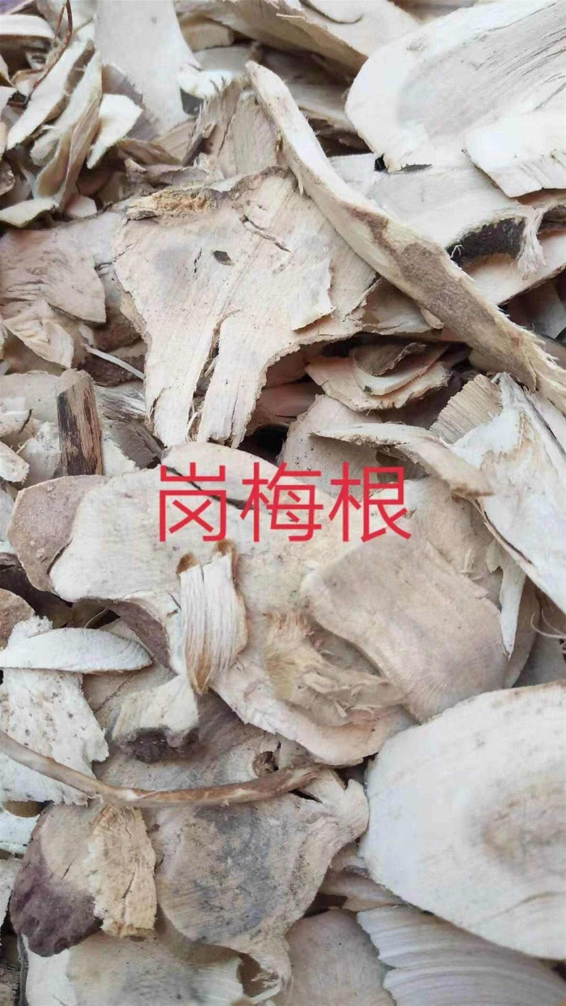 中药材岗梅根功效