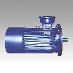 山东泽荣YBS(DSB)系列输送机用隔爆型三相异步电动机