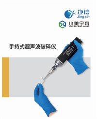 超声波 破碎仪