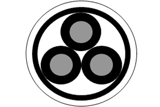 山东泽荣交联聚乙烯绝缘防腐蚀耐酸碱电力电缆