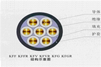 山东泽荣额定电压0.6/1kV及以下氟塑料绝缘控制电缆