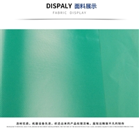 安徽省PVC夹网布环保500D
