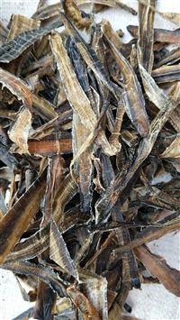 中药材批发地龙全开地龙