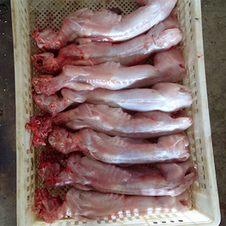 福建 批发鲜冻兔头卖冻兔头