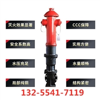 北方防冻消火栓 室外消防栓 地上地下消火栓 厂家直销 供应现货
