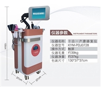 多功能盆底肌修复仪 多功能产后修复仪