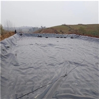 浙江金华土工膜价格