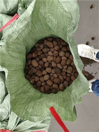 广东肇庆超轻质陶粒厂  江门陶粒一般一立方