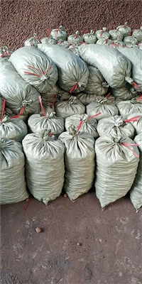 回填陶粒  园林陶粒 供应各种规格陶粒