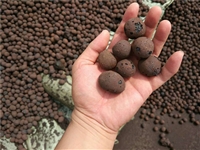 填充陶粒 中山本地陶粒 生物陶粒