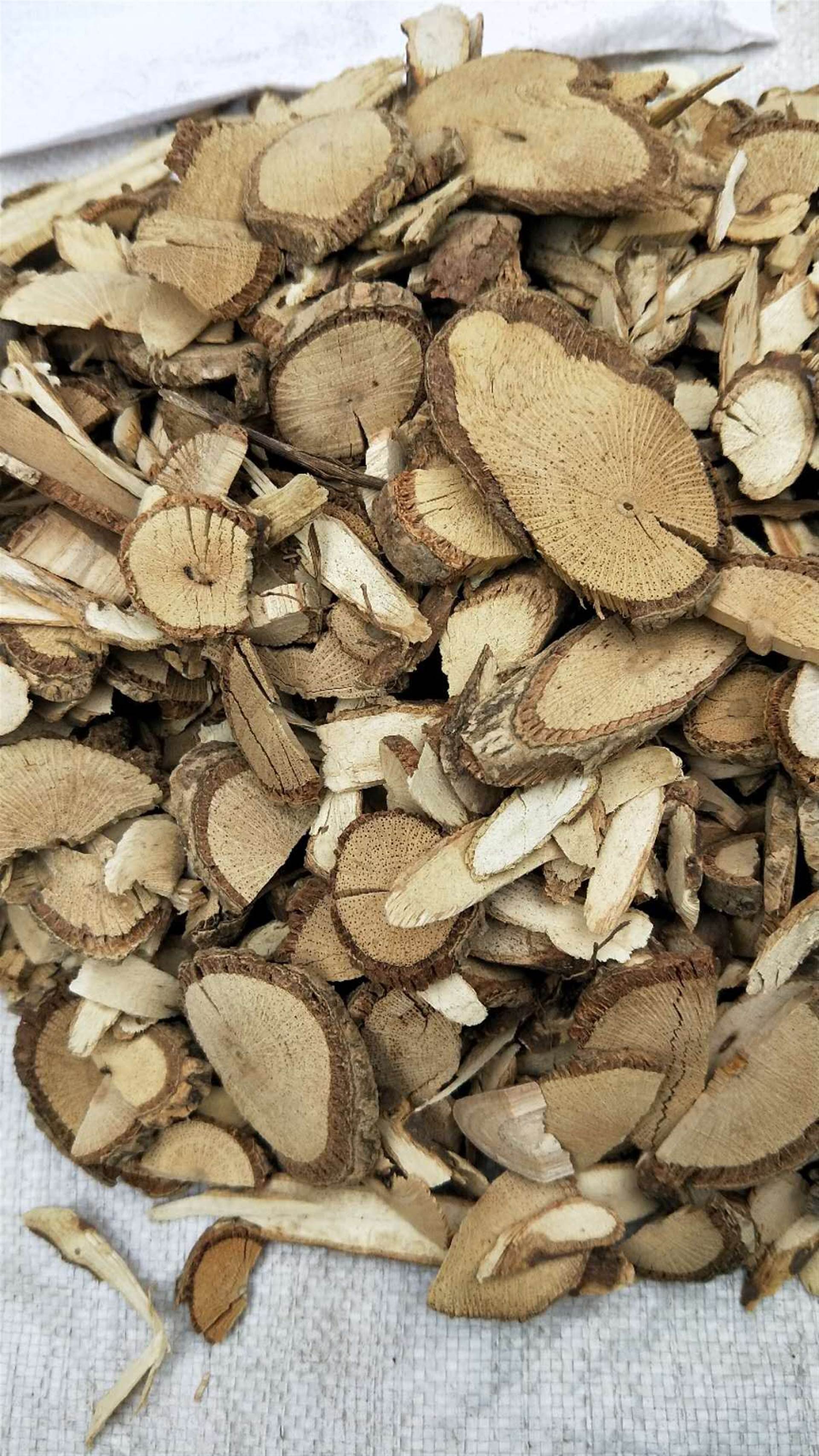 三叶青批发价质量保证