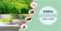 上海单位驱白蚁.上海家庭除蟑螂