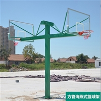 盐山冀图体育 平箱篮球架 大量